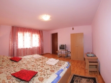 Vila Remmar - accommodation in  Olt Valley, Voineasa, Transalpina (18)