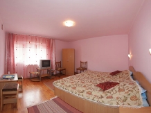 Vila Remmar - accommodation in  Olt Valley, Voineasa, Transalpina (21)