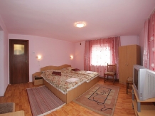 Vila Remmar - accommodation in  Olt Valley, Voineasa, Transalpina (23)