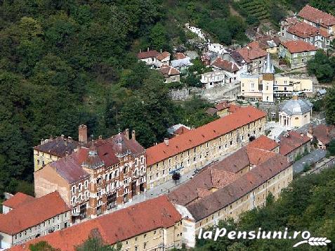 Pensiunea Jojo - accommodation in  Cernei Valley, Herculane (Surrounding)