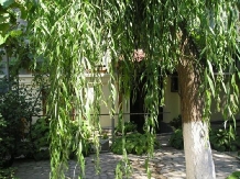Casa de vacanta pentru tineret - alloggio in  Delta del Danubio (05)