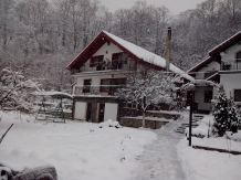Pensiunea Casa Natura - accommodation in  Cernei Valley, Herculane (80)