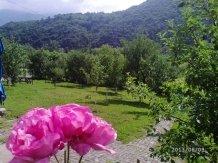 Pensiunea Casa Natura - accommodation in  Cernei Valley, Herculane (83)