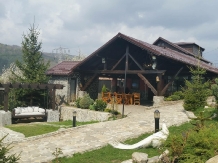 Pensiunea Rony - accommodation in  Muntenia (03)