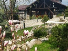 Pensiunea Rony - accommodation in  Muntenia (61)