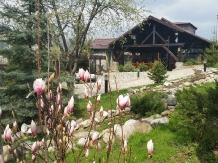 Pensiunea Rony - accommodation in  Muntenia (65)