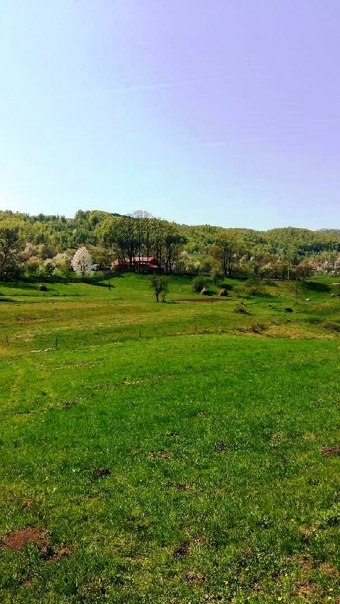 Pensiunea Dolina - accommodation in  Apuseni Mountains (Surrounding)
