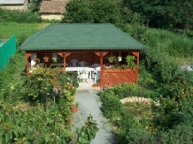 Casa cu flori - accommodation in  Black Sea (04)