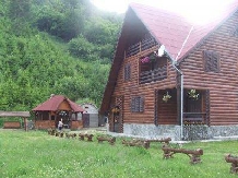 Rural accommodation at  Pensiunea Rausor Rucar