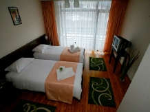 Vila Turistica Green House Turism - accommodation in  Rucar - Bran, Piatra Craiului, Muscelului Country (29)