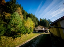 Cabana din Brazi - accommodation in  Muscelului Country (02)