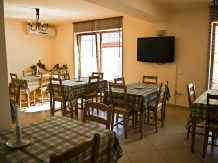 Vila Toparceanu - accommodation in  Muntenia (06)