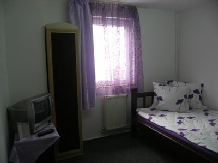 Vila Oana - accommodation in  Hateg Country, Straja (03)