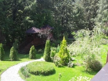 Casa Lacului - cazare Valea Oltului, Voineasa (29)