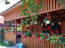 Pensiunea in deal la Ancuta - accommodation in  Maramures Country (29)
