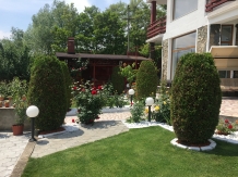 Vila Simbol - accommodation in  Danube Boilers and Gorge, Clisura Dunarii (34)
