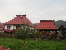 Pensiunea Man Nistor - accommodation in  Maramures Country (01)