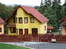 Vila Andreea - accommodation in  Sovata - Praid (01)