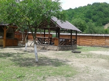 Vila Crista Voineasa - alloggio in  Valea Oltului, Voineasa, Transalpina (03)