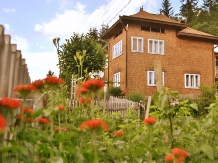 Casa Colinita - cazare Vatra Dornei, Bucovina (01)