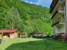 Pensiunea Lazar - accommodation in  Olt Valley, Voineasa, Transalpina (01)