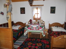 Pensiunea Turlas - accommodation in  Maramures Country (12)