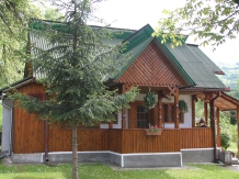 Pensiunea Turlas - accommodation in  Maramures Country (22)