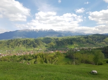 Valea Craiului - alloggio in  Rucar - Bran, Moeciu (16)
