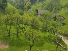 Valea Craiului - alloggio in  Rucar - Bran, Moeciu (20)