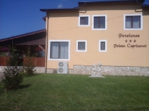 Pensiunea Poiana Caprioarei - accommodation in  Buzau Valley (04)