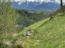 Valea cu Calea - alloggio in  Rucar - Bran, Moeciu (17)