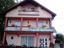 Pensiunea Poalele Gutinului - accommodation in  Maramures Country (01)