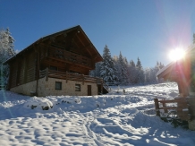 Mirajul Apusenilor - accommodation in  Apuseni Mountains, Belis (58)