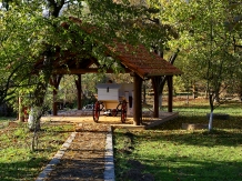 Moara lu' Antone - accommodation in  Transylvania (02)