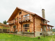 Pensiunea Lacul Zanelor - alloggio in  Valea Buzaului (05)