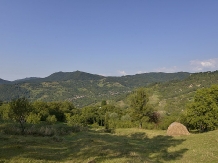 Pensiunea Lacul Zanelor - alloggio in  Valea Buzaului (129)