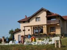 Pensiunea Iulia - accommodation in  Oltenia (01)