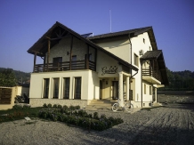 Pensiunea Gabriel - accommodation in  Danube Boilers and Gorge (01)