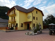 Pensiunea Narcisa - accommodation in  Transylvania (01)