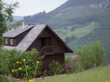 Cabanuta Mihaela Albac - accommodation in  Apuseni Mountains, Motilor Country, Arieseni (01)