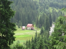 Cabana Elena - accommodation in  Apuseni Mountains, Motilor Country, Arieseni (01)
