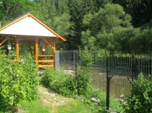 Casa Lia - accommodation in  Apuseni Mountains, Motilor Country, Arieseni (11)