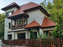 Vila Alfinio - accommodation in  Prahova Valley (01)