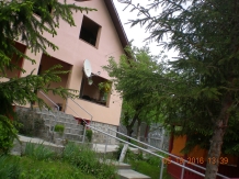 Cabana Anemona - alloggio in  Moldova (12)