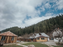 Gospodaria Lui Nea Ion - accommodation in  Brasov Depression (33)