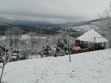Vila 4 Anotimpuri Poieni - alloggio in  Valea Buzaului (28)