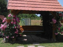 Cabana Rastolita - accommodation in  Transylvania (08)