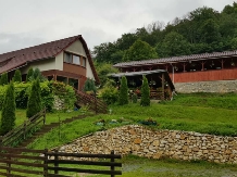 Pensiunea Casa Motilor - accommodation in  Apuseni Mountains (01)