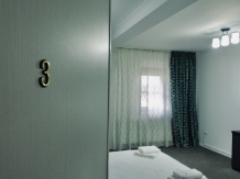 Vila Avram - accommodation in  Oltenia (25)
