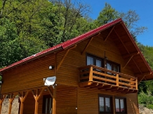 Casa Favorit - accommodation in  Hateg Country (03)